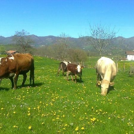 Apartamentos Rurales Kastonea Errazu Dış mekan fotoğraf